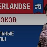 Модальные Глаголы В Нидерландском Языке Урок 5 7 Голландский Язык Для Начинающих Елена Шипилова