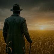 The Sun And Rainfall