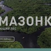 Амазонка