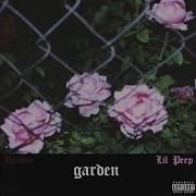 Lil Peep Garden