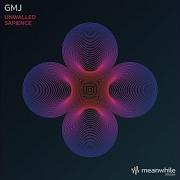 Sapience Gmj