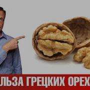 Он Любит Мед И Грецкие Орехи