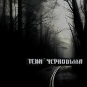Тень Чернобыля Книга