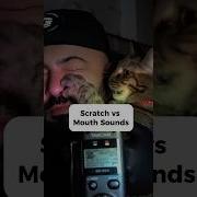 Asmr Neko Girl Ear Licking No Talking