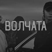 Волчата Ярмак