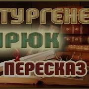 Тургенев Бирюк Пересказ