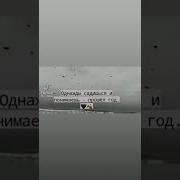 Нашид Ведик