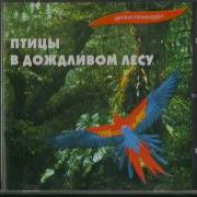 Звуки Природы Без Музыки