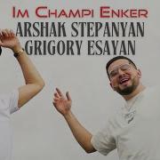 Stepanyan 2024