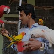 Journey Of Parrot Dipankar My Day With Dipankar Dinda