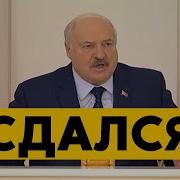Это Кончик Или Нет