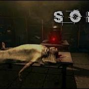 Soma Soma
