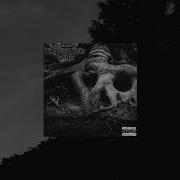 Unaverage Gang Unchained