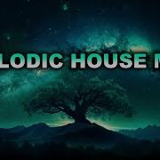 Mix 2024 Musical Trip Melodic Progressive House Techno