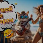Я Сделала Пластику На Грудь Танцевальные Песни С Юмором Сборник Русской Музыки 2025