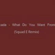 Cascada What Do You Want From Me Squad E Remix