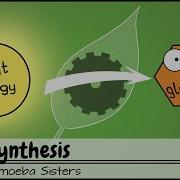 Photosynthesis