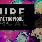 Future Tropical Sample Pack Future Tropical House Samples Loops Midi Presets