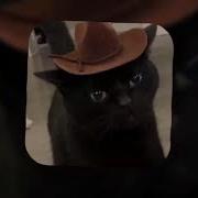 La Dinastía Vaquero Slowed