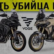 Волки 526
