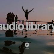 Silent Partner Hounds No Copyright Music