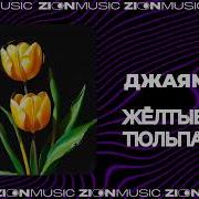 Джаямми Желтые Тюльпаны