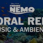 Nemo Instrumental