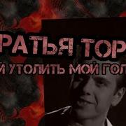 Братья Торч Все Альбомы