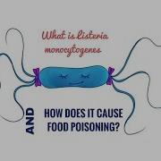 Listeria
