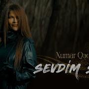 Sevdim Seni