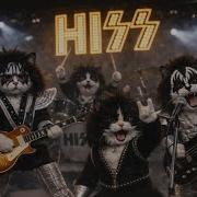 Hiss Band