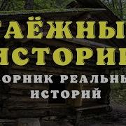 Слушать Рассказ Про Тайгу