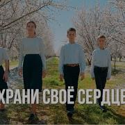Храни Свое Сердце Храни
