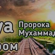 Дуа Утром На Удачу Читал Пророк Мухаммадﷺ