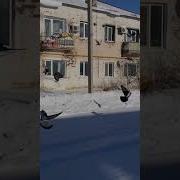Вот И Стали Мы На Год Взрослей И Пора Настает
