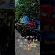 Цыганские Польки 2024