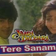 Bin Tere Sanam