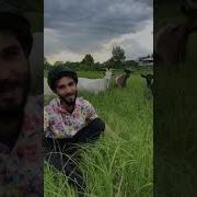 И Сотни Роз Не Стоит Ни Одной Твоей Какашки