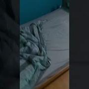 Flash Bang The Monster Under My Bed