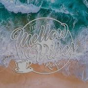 No Copyright Music Summer Vibes