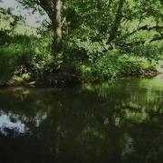 Creedence Clearwater Revival Born On The Bayou Mono Single