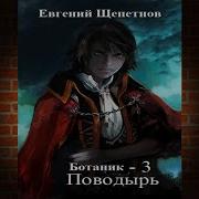 Поводырь Евгений Щепетнов