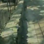 А Нечего Дразниться