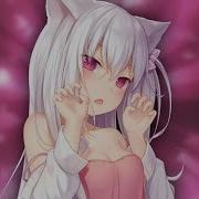 Nightcore Dreams Lyrics