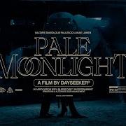 Dayseeker Pale Moonlight