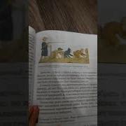 Солнце Светит Негры Пашут