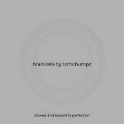 Tomcbumpz Brain Cells Slowed