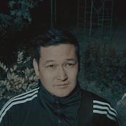 Амур Камызяки