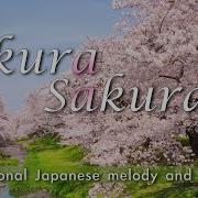 Sakura Sakura Japanese Folk Song