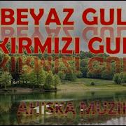Beyaz Gul Kirmizi Gul Shamil Beshliev Ahiska Müzik Ахыска